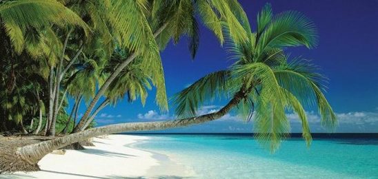poster-d-une-plage-maldives-66605