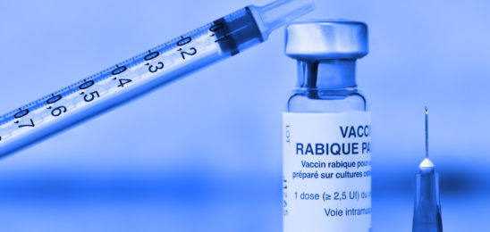 vaccination anti-rabique contre la rage