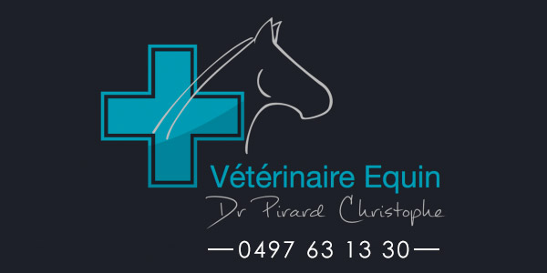 veterinaire-equin-sprimont-pirard-600x300