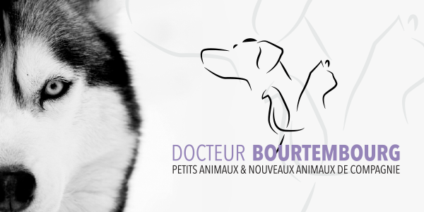 veterinaire-600x300